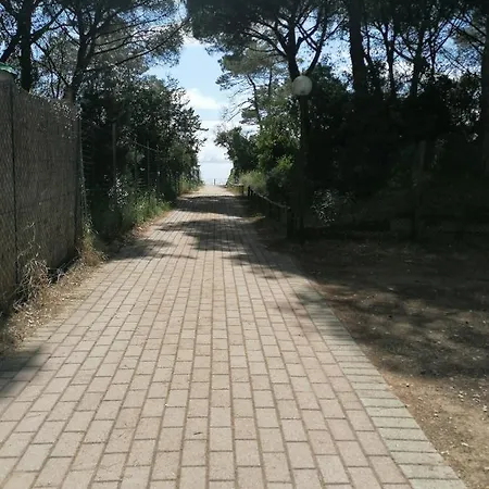 Le Palme Albinia